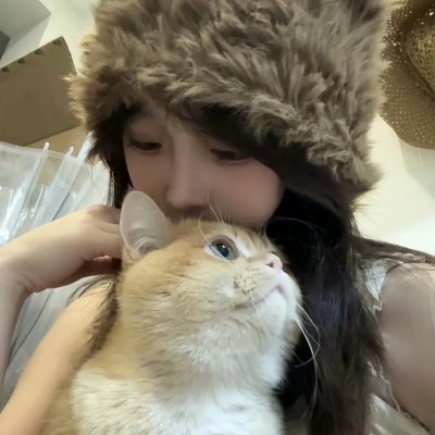 对不起，我磕到你了